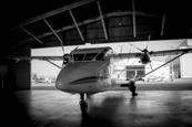 IMG_0803-2